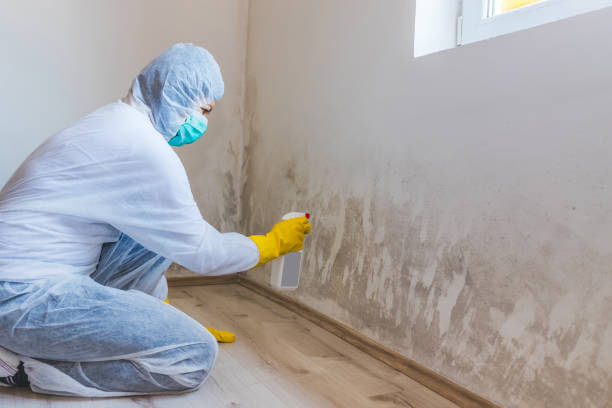 Licensed Mold Testing service in Fairfax, VA - Cheap Mold Removal