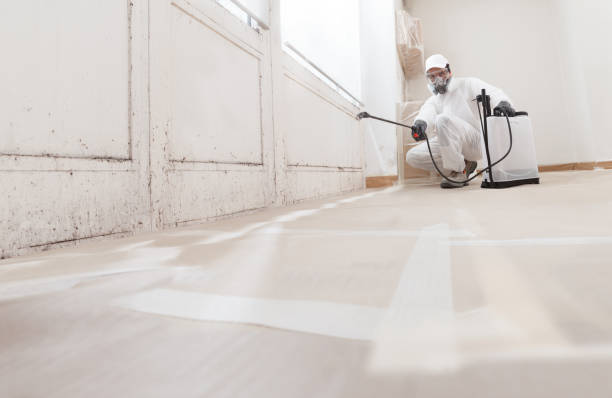 24/7 Emergency Mold Testing experts in Fairfax, VA