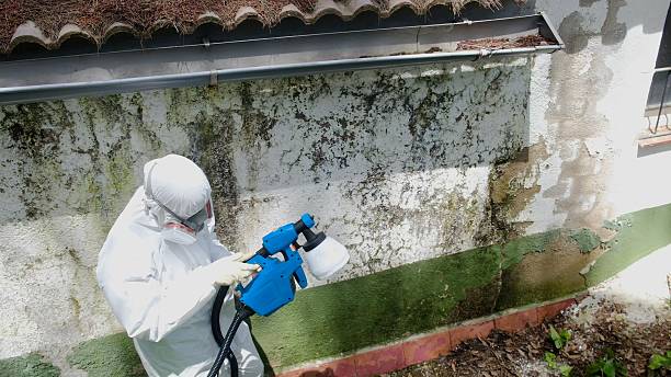 Trusted Mold Inspection service in Fairfax, VA - Cheap Mold Removal